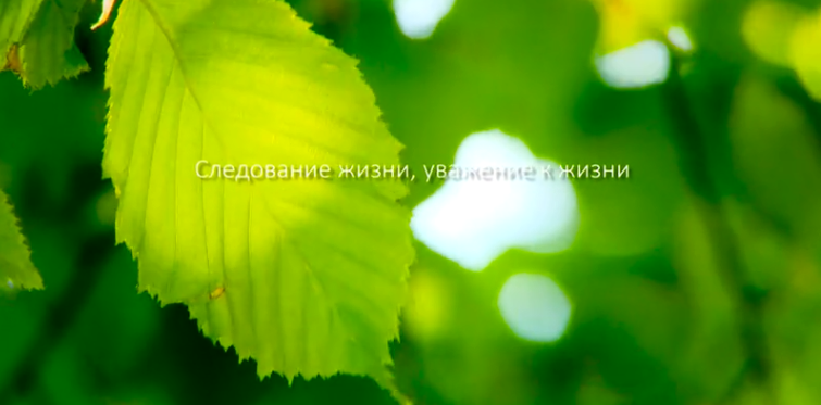 兴发娱乐xf187集团形象片（русский）