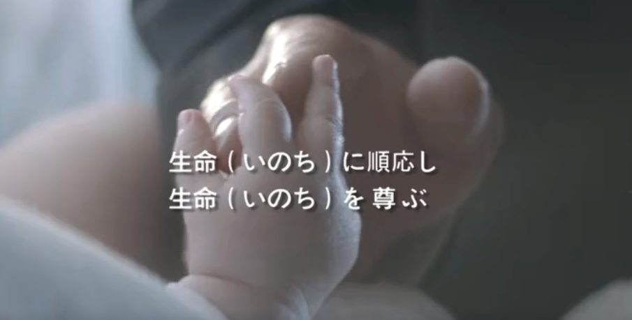 兴发娱乐xf187集团形象片（日本語）