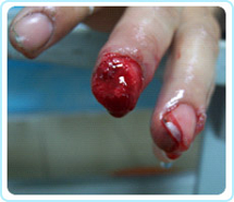 兴发娱乐·xf187(中国集团)官方网站