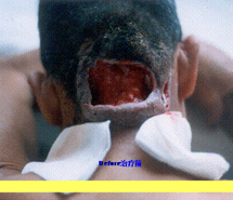 兴发娱乐·xf187(中国集团)官方网站