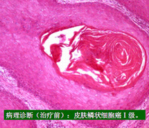 兴发娱乐·xf187(中国集团)官方网站