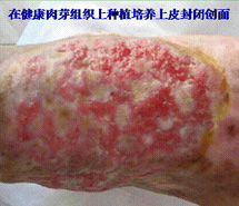 兴发娱乐·xf187(中国集团)官方网站