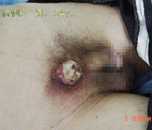 兴发娱乐·xf187(中国集团)官方网站