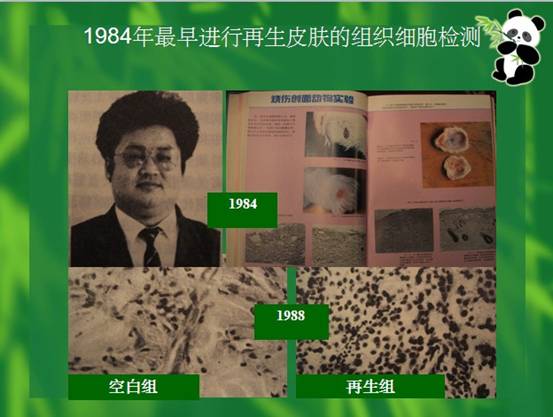 兴发娱乐·xf187(中国集团)官方网站