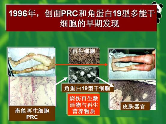 兴发娱乐·xf187(中国集团)官方网站