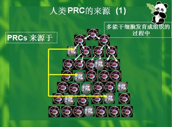兴发娱乐·xf187(中国集团)官方网站