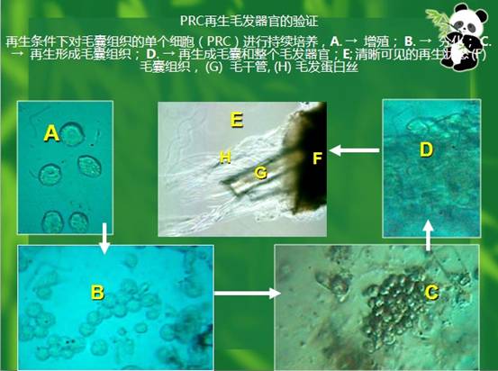 兴发娱乐·xf187(中国集团)官方网站