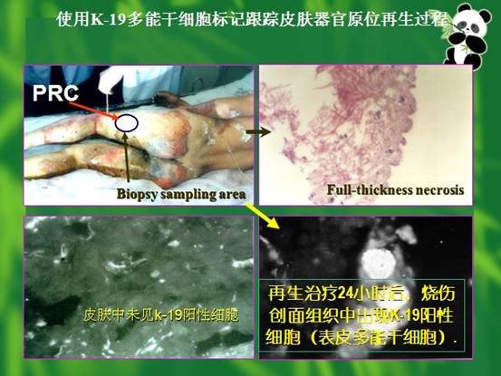 兴发娱乐·xf187(中国集团)官方网站