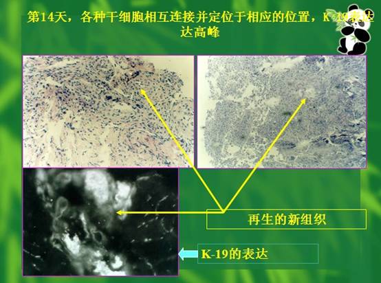 兴发娱乐·xf187(中国集团)官方网站