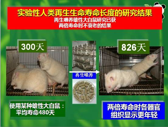 兴发娱乐·xf187(中国集团)官方网站