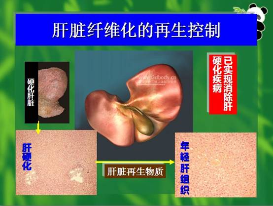兴发娱乐·xf187(中国集团)官方网站