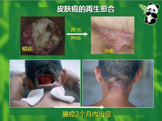 兴发娱乐·xf187(中国集团)官方网站