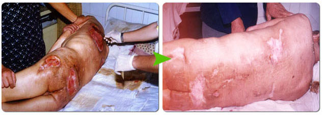 兴发娱乐·xf187(中国集团)官方网站