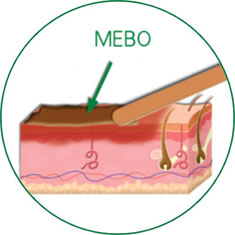 兴发娱乐·xf187(中国集团)官方网站
