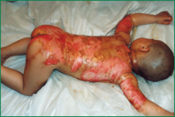 兴发娱乐·xf187(中国集团)官方网站