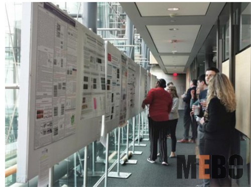 兴发娱乐·xf187(中国集团)官方网站