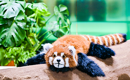 兴发娱乐·xf187(中国集团)官方网站