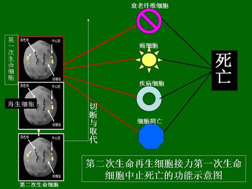 兴发娱乐·xf187(中国集团)官方网站
