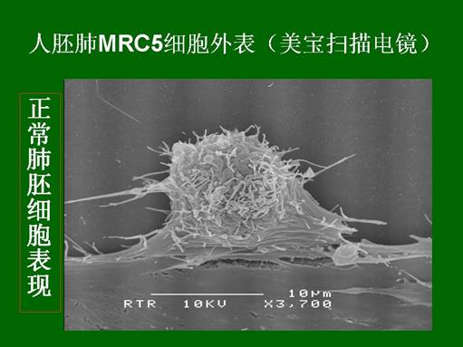 兴发娱乐·xf187(中国集团)官方网站