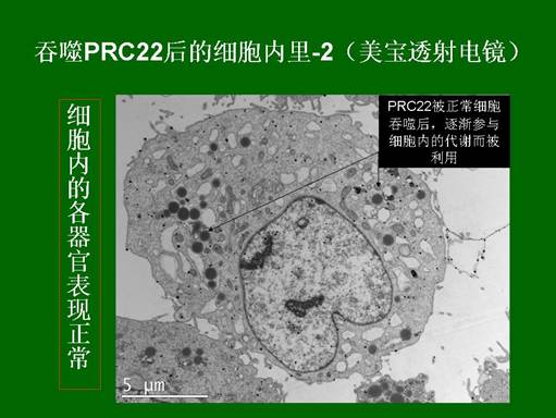 兴发娱乐·xf187(中国集团)官方网站