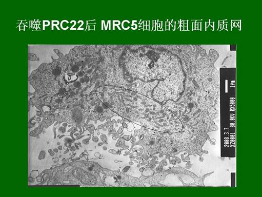 兴发娱乐·xf187(中国集团)官方网站