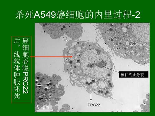 兴发娱乐·xf187(中国集团)官方网站