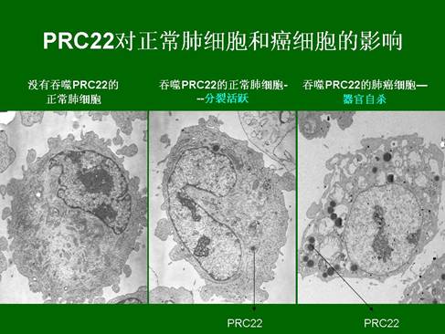 兴发娱乐·xf187(中国集团)官方网站