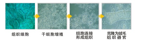 兴发娱乐·xf187(中国集团)官方网站