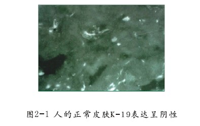 兴发娱乐·xf187(中国集团)官方网站