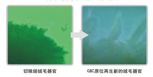 兴发娱乐·xf187(中国集团)官方网站