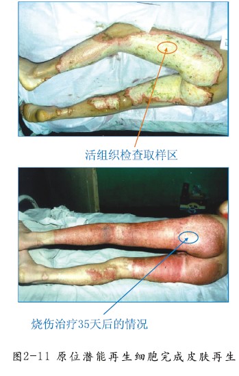 兴发娱乐·xf187(中国集团)官方网站