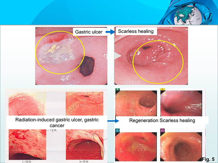 兴发娱乐·xf187(中国集团)官方网站
