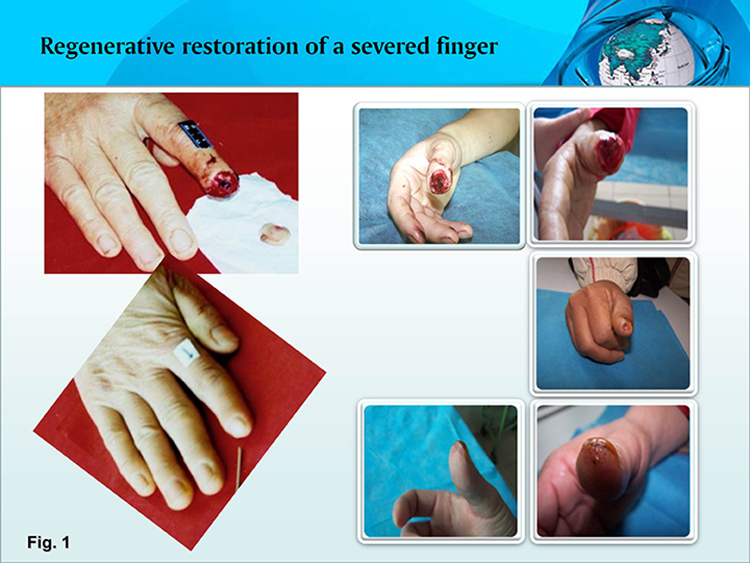 兴发娱乐·xf187(中国集团)官方网站