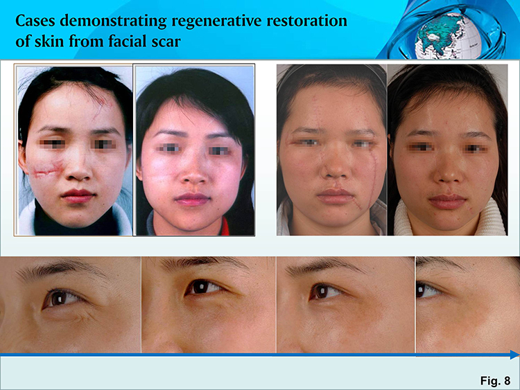 兴发娱乐·xf187(中国集团)官方网站