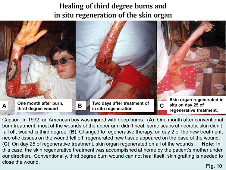 兴发娱乐·xf187(中国集团)官方网站