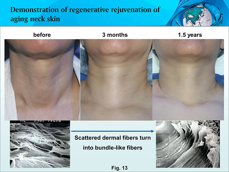 兴发娱乐·xf187(中国集团)官方网站
