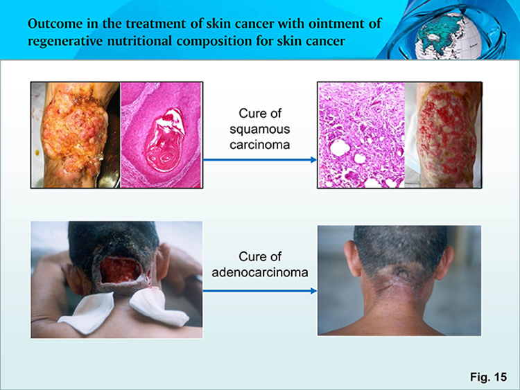 兴发娱乐·xf187(中国集团)官方网站