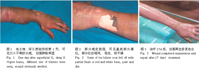 兴发娱乐·xf187(中国集团)官方网站