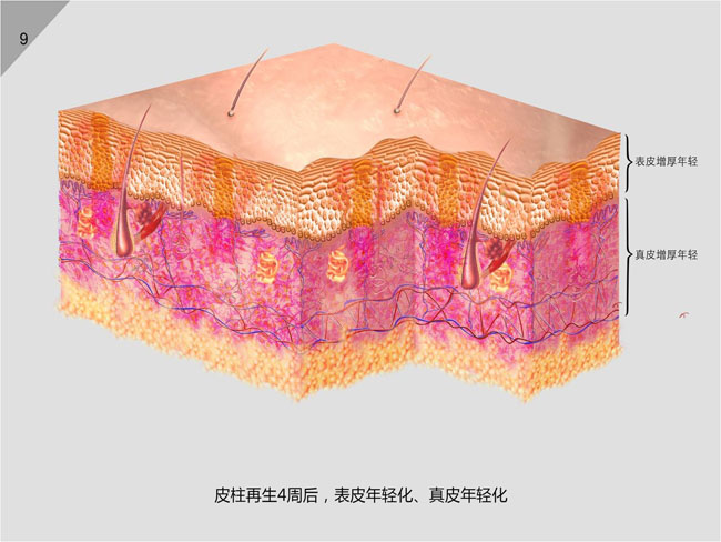 兴发娱乐·xf187(中国集团)官方网站