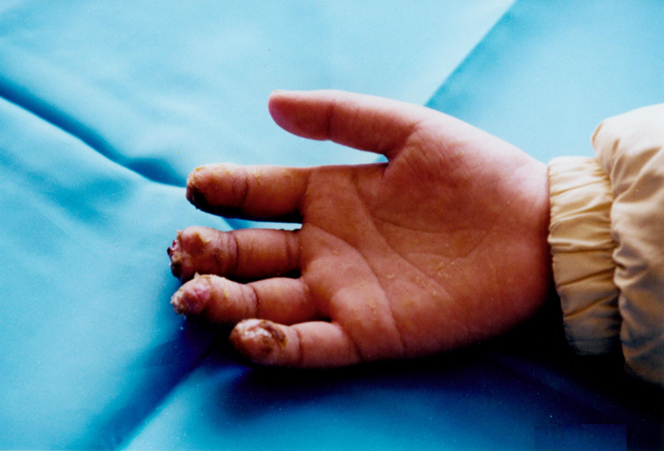 兴发娱乐·xf187(中国集团)官方网站