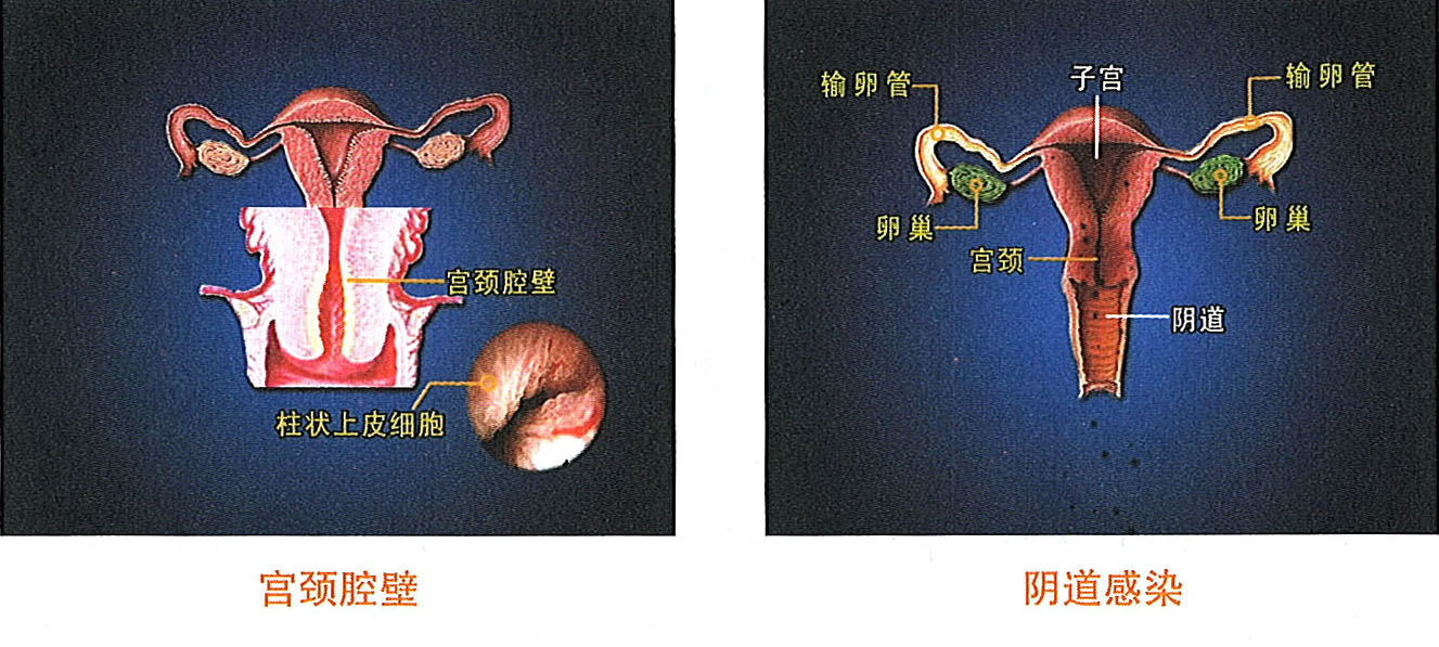 兴发娱乐·xf187(中国集团)官方网站